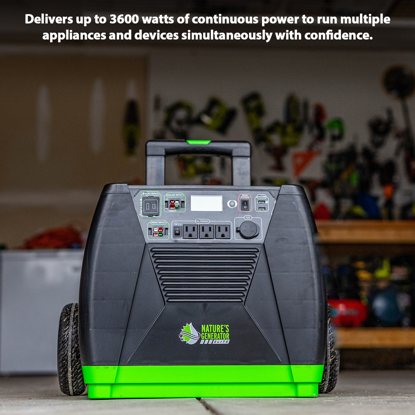 Nature's Generator Generator Elite Model EG1000