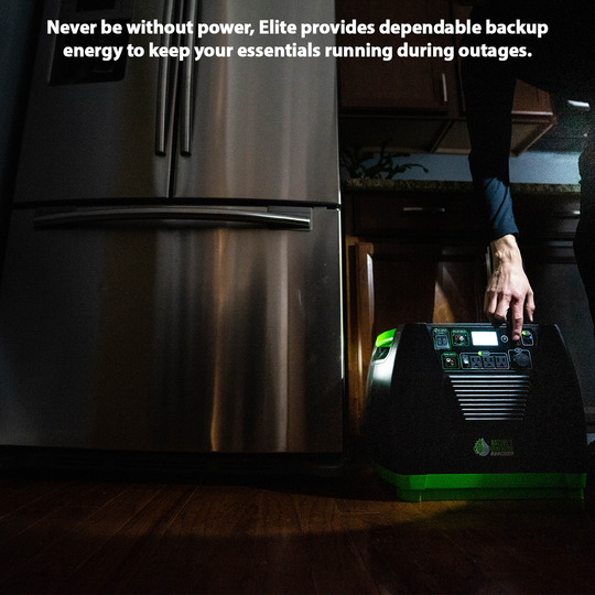 Nature's Generator Generator Elite Model EG1000